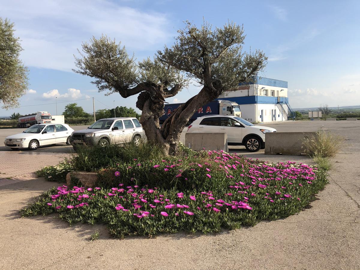 Hotel Restaurant Casa Miquel Alcarraz Zewnętrze zdjęcie